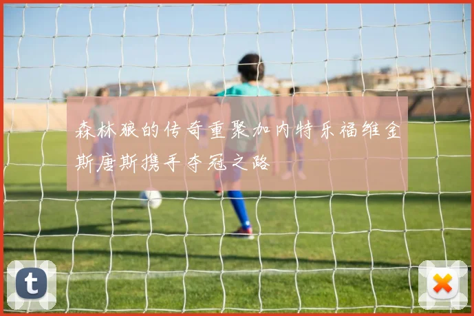 森林狼的传奇重聚加内特乐福维金斯唐斯携手夺冠之路