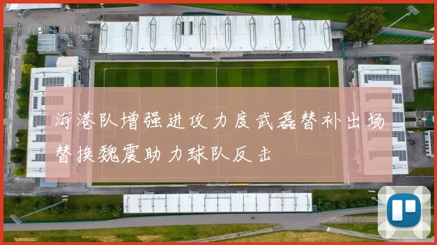 海港队增强进攻力度武磊替补出场替换魏震助力球队反击