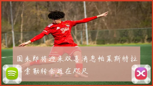 国米即将迎来双喜消息帕莱斯特拉和索勒转会近在咫尺